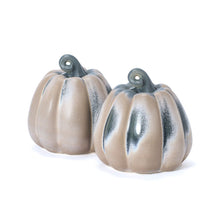 Load image into Gallery viewer, Large Pumpkin, Lavender Mist
