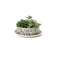 #164 Flowerpot | Hand Thrown Vessel Collection