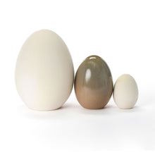 Load image into Gallery viewer, Hand Crafted Medium Egg #294
