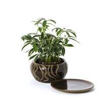 Load image into Gallery viewer, #128 Flowerpot | Hand Thrown Vessel Collection
