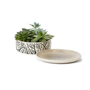 #164 Flowerpot | Hand Thrown Vessel Collection