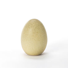 Load image into Gallery viewer, Hand Crafted Medium Egg #292
